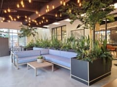 faux plants by nature